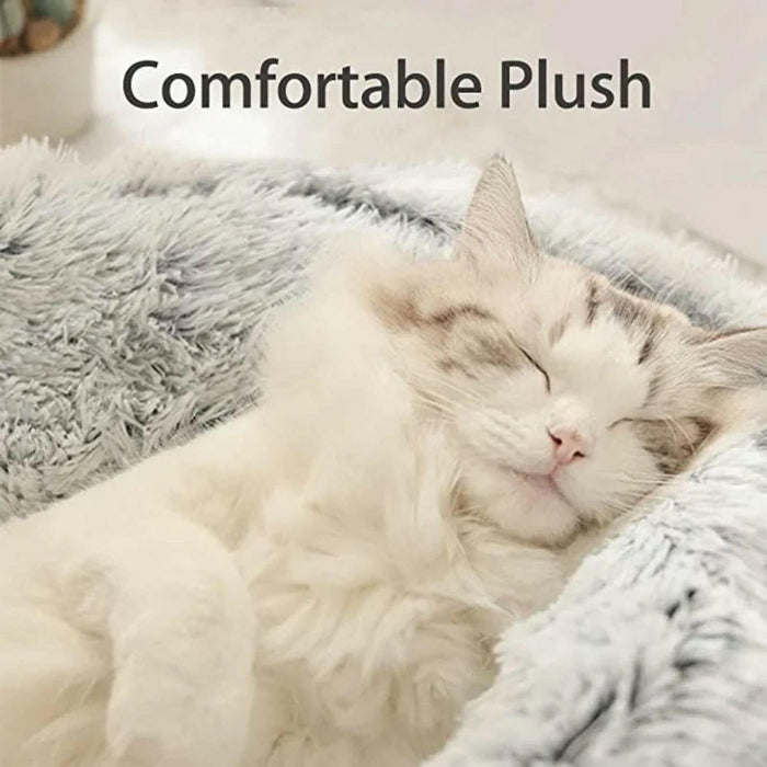 2 - in - 1 Winter Plush Cat Bed & Sleep Bag – Cozy Round Cushion for Cats and Small Dogs - Classy Troves40x40cmClassy Troves2 - in - 1 Winter Plush Cat Bed & Sleep Bag – Cozy Round Cushion for Cats and Small DogsIndulge your furry friend with the ultimate cozy retreat - the 2 - in - 1 Winter Plush Cat Bed & Sleep Bag. This luxurious pet accessory provides warmth and security, combinin