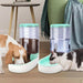 3.8L Automatic Pet Feeder and Water Fountain for Large Cats & Dogs – Food Dispenser with Drink Bowl, Durable PP Material - Classy TrovesGrayClassy Troves3.8L Automatic Pet Feeder and Water Fountain for Large Cats & Dogs – Food Dispenser with Drink Bowl, Durable PP MaterialMake caring for your furry friends a breeze with the 3.8L Automatic Pet Feeder and Water Dispenser! This innovative feeder combines foo